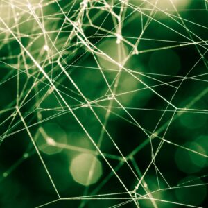 spider web over green background