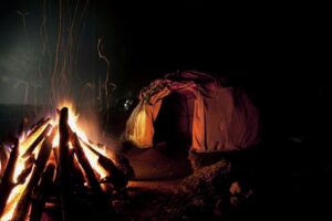 Intertwined Journey with Nature