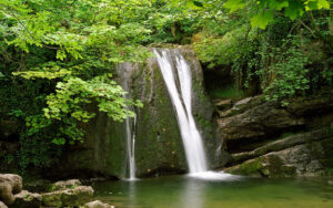 Intertwined Journey with Nature