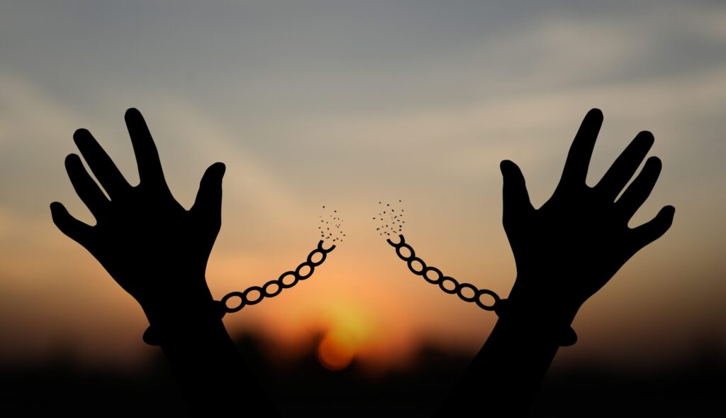 "Seven powerful words that reveal patterns of victim-blaming and how women rise through truth-telling